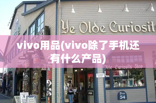vivo用品(vivo除了手机还有什么产品)