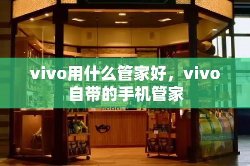 vivo用什么管家好，vivo自带的手机管家