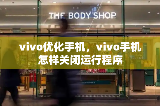 vivo优化手机，vivo手机怎样关闭运行程序