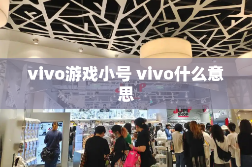 vivo游戏小号 vivo什么意思
