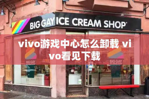 vivo游戏中心怎么卸载 vivo看见下载-第1张图片-星选测评