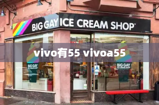 vivo有55 vivoa55-第1张图片-星选测评