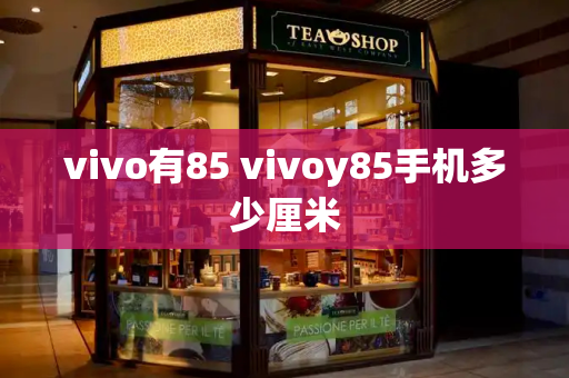 vivo有85 vivoy85手机多少厘米-第1张图片-星选测评