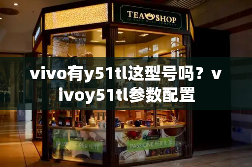 vivo有y51tl这型号吗？vivoy51tl参数配置