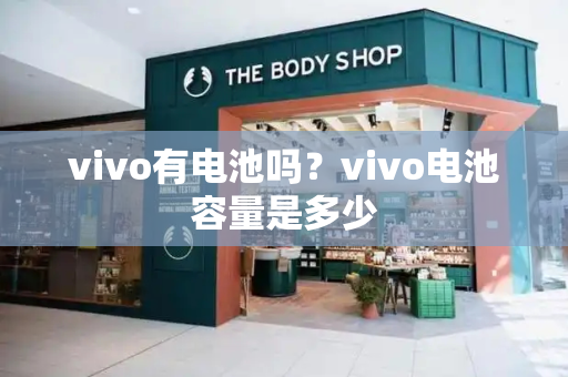 vivo有电池吗？vivo电池容量是多少-第1张图片-星选测评