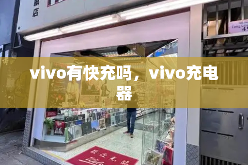 vivo有快充吗，vivo充电器