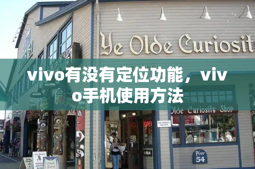 vivo有没有定位功能，vivo手机使用方法