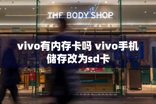 vivo有内存卡吗 vivo手机储存改为sd卡