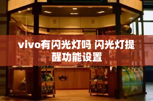 vivo有闪光灯吗 闪光灯提醒功能设置