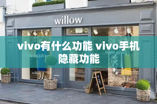 vivo有什么功能 vivo手机隐藏功能-第1张图片-星选测评