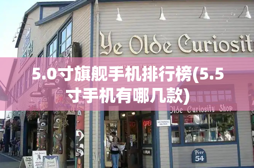 5.0寸旗舰手机排行榜(5.5寸手机有哪几款)