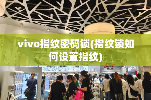 vivo指纹密码锁(指纹锁如何设置指纹)