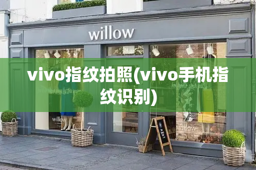 vivo指纹拍照(vivo手机指纹识别)