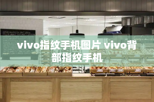 vivo指纹手机图片 vivo背部指纹手机-第1张图片-星选测评