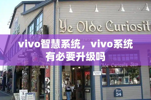 vivo智慧系统，vivo系统有必要升级吗