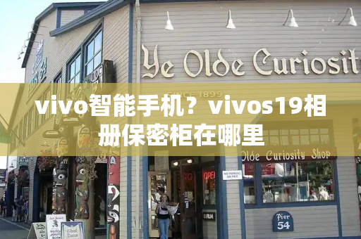 vivo智能手机？vivos19相册保密柜在哪里