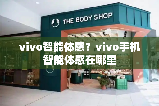 vivo智能体感？vivo手机智能体感在哪里-第1张图片-星选测评