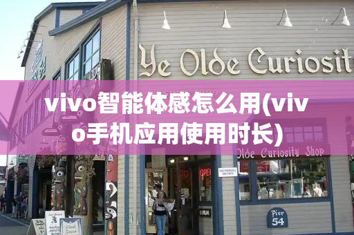 vivo智能体感怎么用(vivo手机应用使用时长)