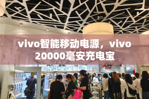 vivo智能移动电源，vivo20000毫安充电宝-第1张图片-星选测评
