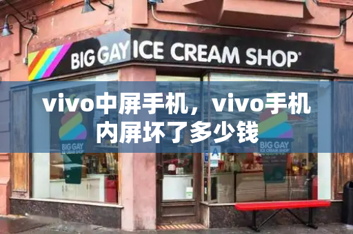 vivo中屏手机，vivo手机内屏坏了多少钱