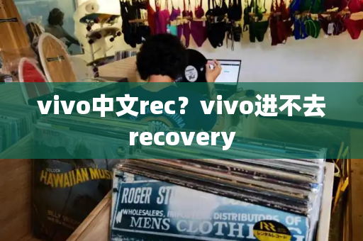 vivo中文rec？vivo进不去recovery