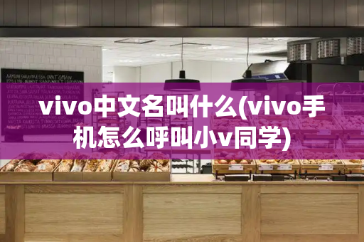 vivo中文名叫什么(vivo手机怎么呼叫小v同学)-第1张图片-星选测评