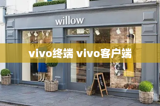 vivo终端 vivo客户端