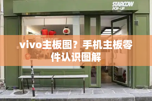 vivo主板图？手机主板零件认识图解-第1张图片-星选测评