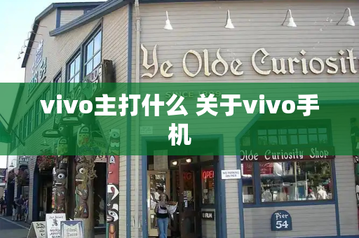 vivo主打什么 关于vivo手机