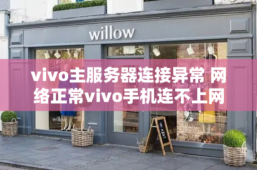 vivo主服务器连接异常 网络正常vivo手机连不上网-第1张图片-星选测评