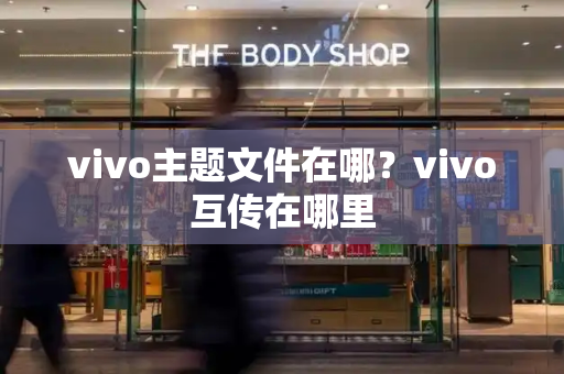 vivo主题文件在哪？vivo互传在哪里