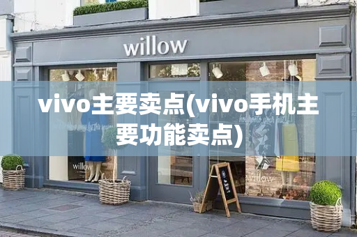 vivo主要卖点(vivo手机主要功能卖点)