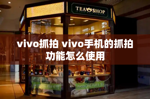 vivo抓拍 vivo手机的抓拍功能怎么使用-第1张图片-星选测评