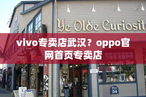 vivo专卖店武汉？oppo官网首页专卖店