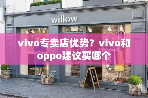 vivo专卖店优势？vivo和oppo建议买哪个-第1张图片-星选测评