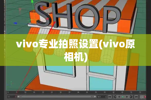 vivo专业拍照设置(vivo原相机)