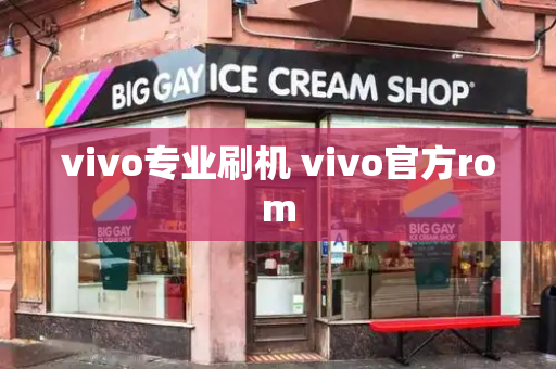 vivo专业刷机 vivo官方rom-第1张图片-星选测评