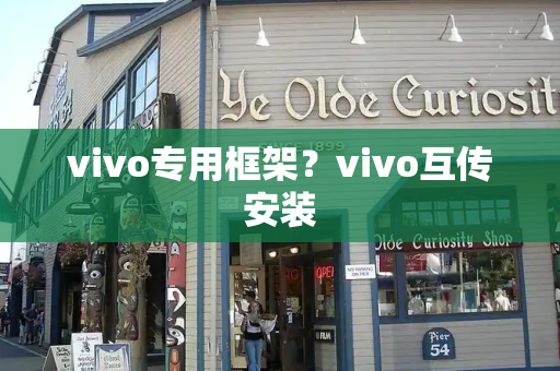 vivo专用框架？vivo互传安装