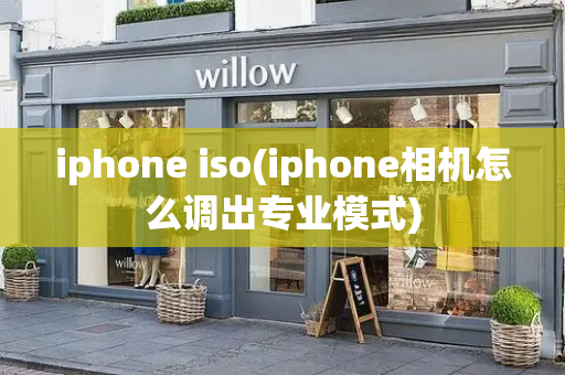 iphone iso(iphone相机怎么调出专业模式)