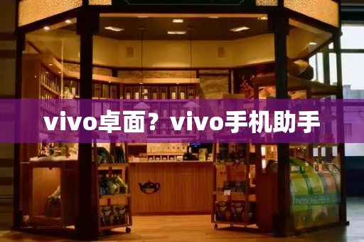 vivo卓面？vivo手机助手-第1张图片-星选测评