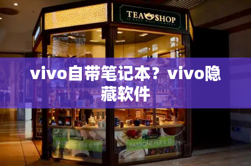 vivo自带笔记本？vivo隐藏软件