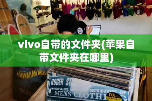vivo自带的文件夹(苹果自带文件夹在哪里)-第1张图片-星选测评