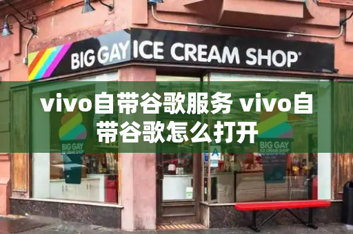 vivo自带谷歌服务 vivo自带谷歌怎么打开