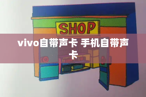 vivo自带声卡 手机自带声卡-第1张图片-星选测评