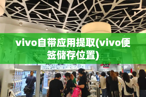 vivo自带应用提取(vivo便签储存位置)-第1张图片-星选测评