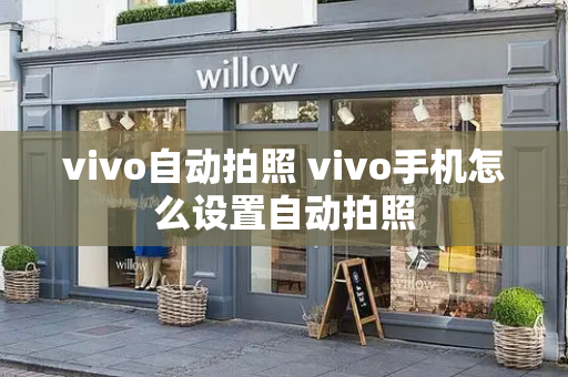 vivo自动拍照 vivo手机怎么设置自动拍照-第1张图片-星选测评