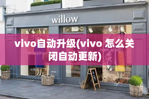 vivo自动升级(vivo 怎么关闭自动更新)