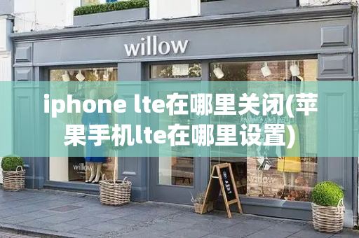 iphone lte在哪里关闭(苹果手机lte在哪里设置)