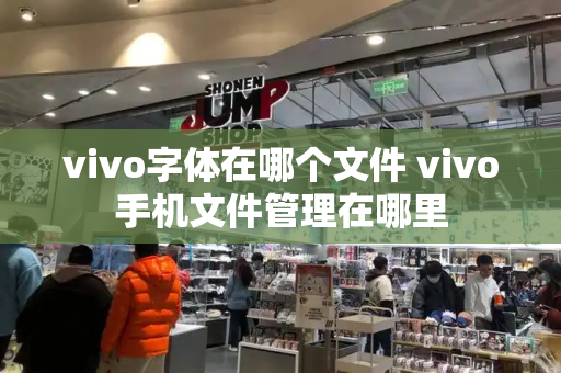 vivo字体在哪个文件 vivo手机文件管理在哪里