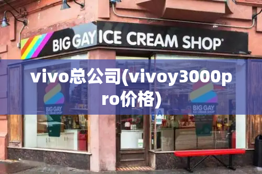 vivo总公司(vivoy3000pro价格)